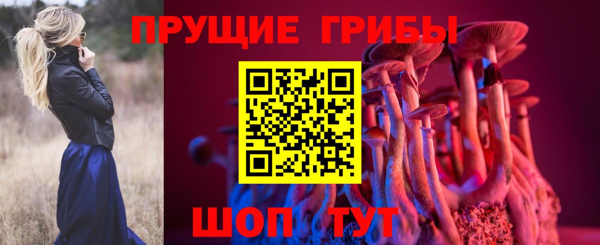 Корсаков  Галлюциногенные грибы MAGIC MUSHROOMS  Вход с VPN 